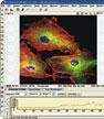 NIS-Elements Microscope Imaging Software