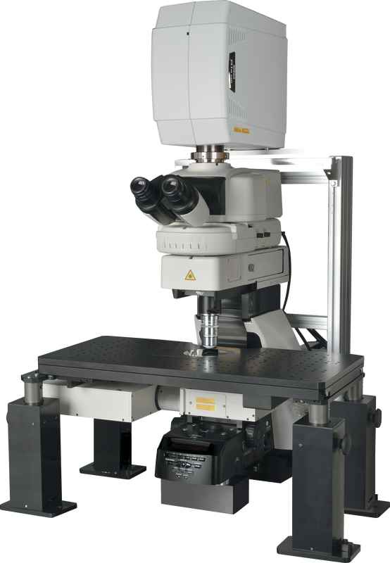 A1R MP+ A1R MP Multiphoton Confocal