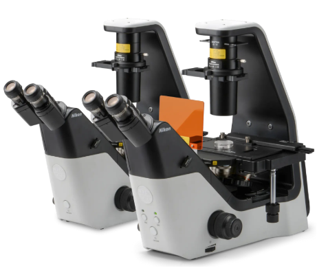 ECLIPSE Ts2